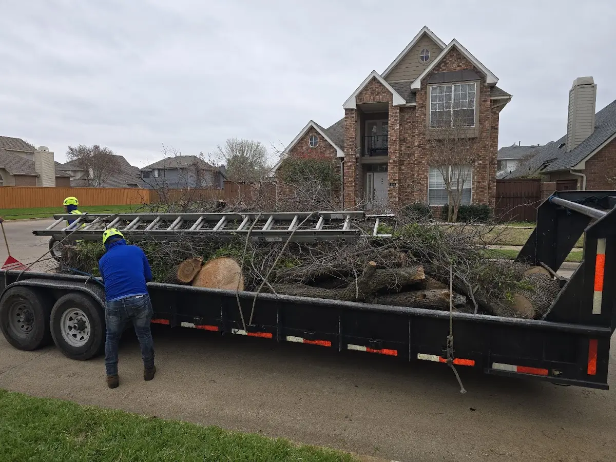 Expert Lot Clearing with proper safety equipment in Conde